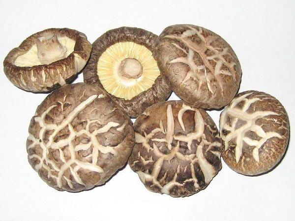 深圳农产品配送带你了解常见的菌菇都有哪些