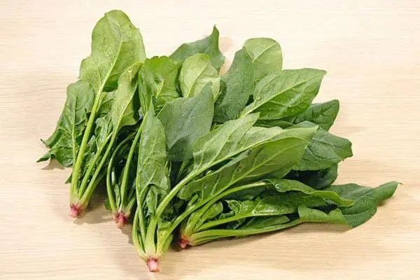 深圳蔬菜配送带你了解菠菜和什么一起吃最好