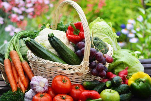 深圳送菜公司浅谈生鲜蔬菜运输配送需要注意什么