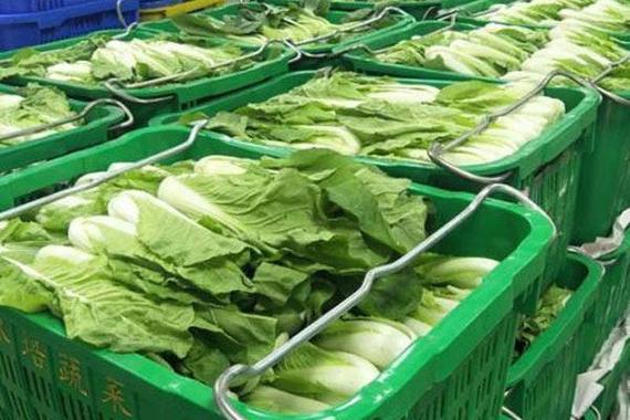 深圳蔬菜配送公司浅谈蔬菜配送找客户方法