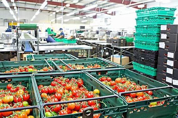 鲜生食品保鲜技巧指南:保持食材新鲜的实用方法